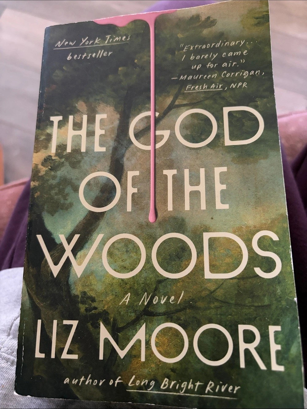 Penguin Random House The God of the Woods by Liz Moore Novel